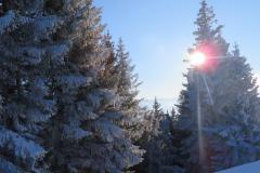 Schneeschuhtouren-Allgaeu-27