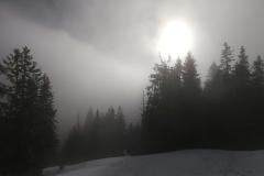 Schneeschuhtouren-Allgaeu-4