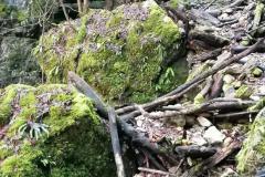 IMG_20211231_104426