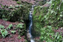 IMG_20211231_104620
