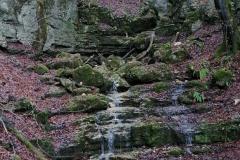 IMG_20211231_104802