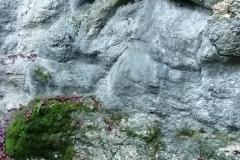 IMG_20211231_105028