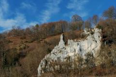 IMG_20211231_132829