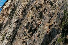 IMG_20211231_135306