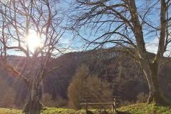 IMG_20211231_135953