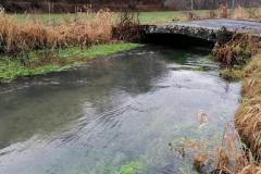IMG_20211231_142928