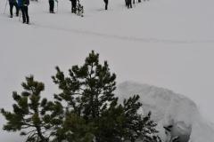 IMG_20220129_113057