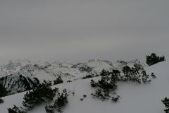 IMG_20220129_113527