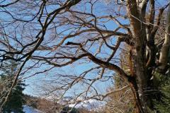 IMG_20220119_111016