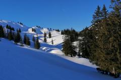 IMG_20220119_120402