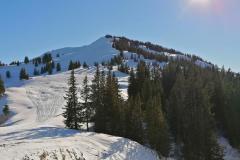 IMG_20220119_133208