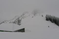 IMG_20220121_114845