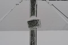 IMG_20220121_124449