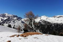 IMG_20220322_123759