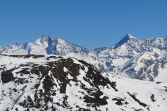 IMG_4503