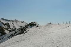 IMG_20220326_101142