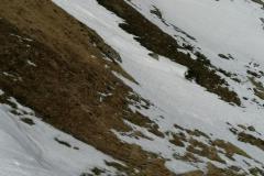 IMG_20220326_101216