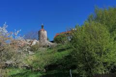IMG_20220418_101733