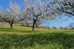 IMG_20220418_101912
