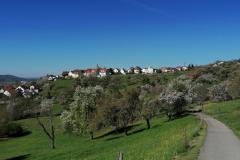 IMG_20220418_103041