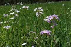 IMG_20220418_130335