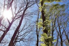 IMG_20220418_133128