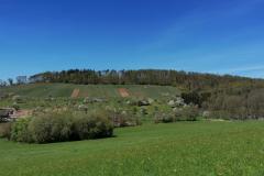 IMG_20220418_145306