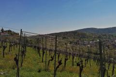 IMG_20220418_150253