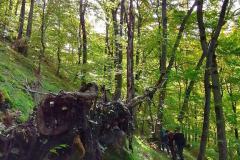 IMG_20221009_131031