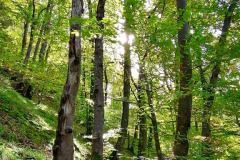 IMG_20221009_131054