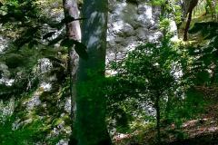 IMG_20221009_131645