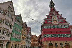 IMG_20221016_104716