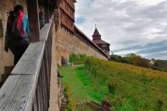 IMG_20221016_105329