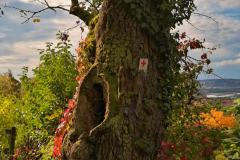 IMG_20221016_145205