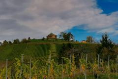 IMG_20221016_152650