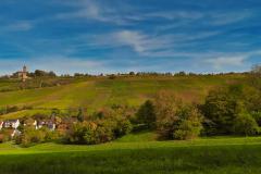 IMG_20221023_121557