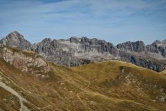 IMG_5354