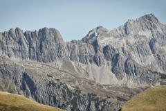 IMG_5355