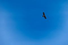 IMG_5360