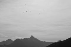 IMG_5366