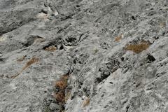 IMG_20221031_095741