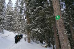IMG_20230203_100719