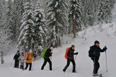 IMG_20230204_103343