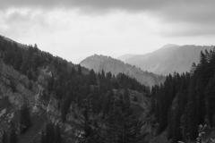 IMG_5936