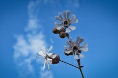 IMG_5940