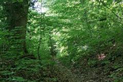 IMG_20230625_083353