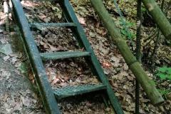 IMG_20230625_083550