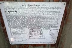 IMG_20230625_084526