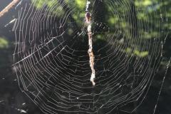 IMG_20230625_085105