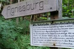 IMG_20230625_085855